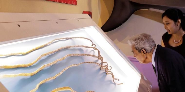 Homem corta maiores unhas do mundo e imagens chocam: "Seboso"
