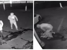 Assaltante erra alvo e joga tijolo na cabeça de comparsa
