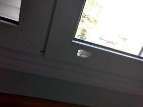 Idosa é baleada na cabeça dentro de hospital no Rio de Janeiro