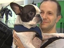 Piloto desvia rota de avião para salvar cachorro