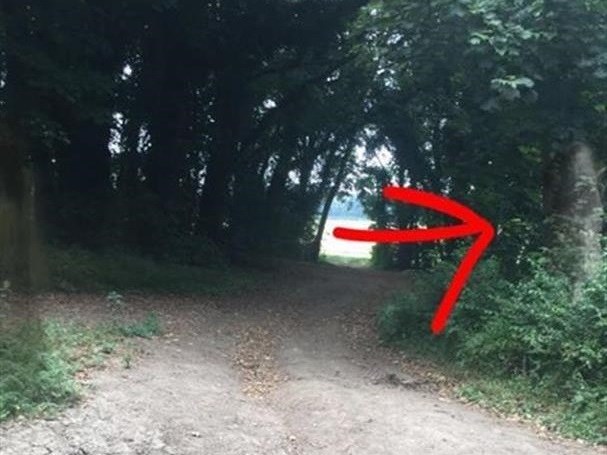 Jovem acredita ter fotografado fantasma em floresta do Reino Unido