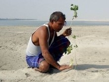Homem planta árvores sozinho durante 40 anos e transforma a ilha