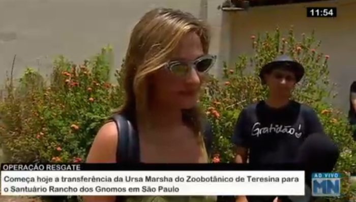 Luisa Mell (Crédito: Reprodução/Rede Meio Norte)