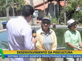 Novas Fronteiras: sisteminha movimenta economia de Esperantina -PI