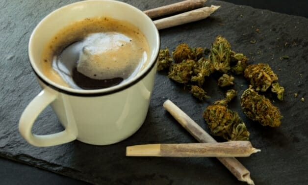 Café com infusão de maconha chega ao mercado em breve nos EUA