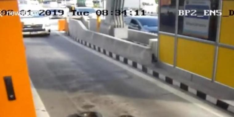 Cobra aparece misteriosamente em rodovia da Tailândia