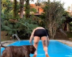 Felipe Titto é mordido por cão ao pular em piscina e leva 15 pontos