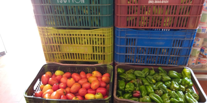 Semec de Uruçuí incrementa a merenda escolar com produtos da agricultura familiar.
