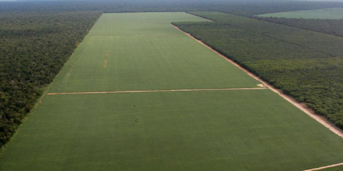 Secretaria de Agricultura faz parceria com o INCRA e tem papel importante na regularização fundiária