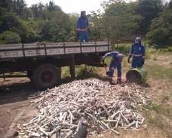 Prefeitura retira ossos de animais de riacho 