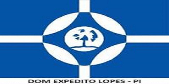 Profissionais da Educação Municipal de Dom Expedito Lopes participam de formação sobre novo currículo da BNCC do Piauí