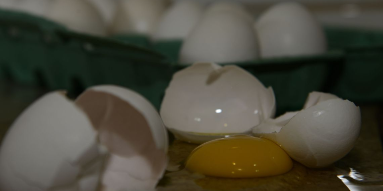 Produção de ovos no Brasil bate novo recorde