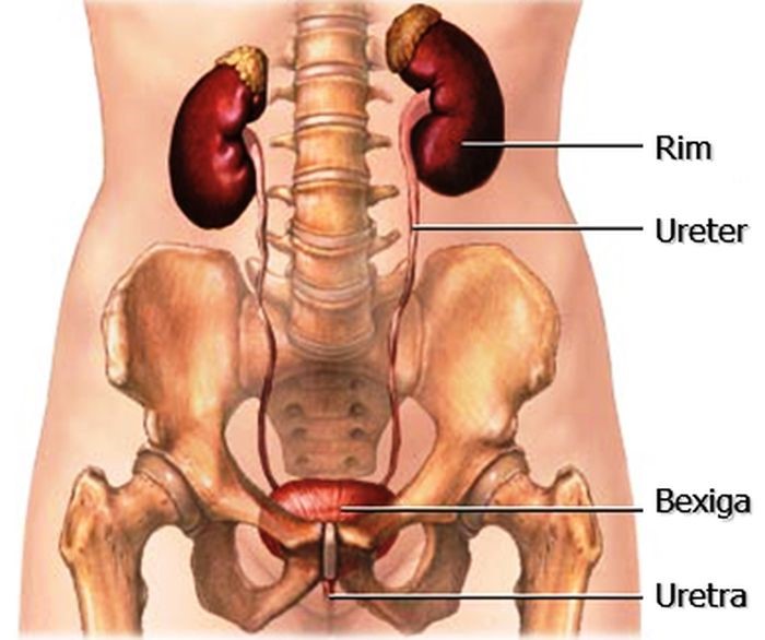 Médico remove rim de mulher durante cirurgia na coluna