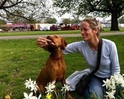 Dona de cão que morreu após comer brownie faz alerta na web