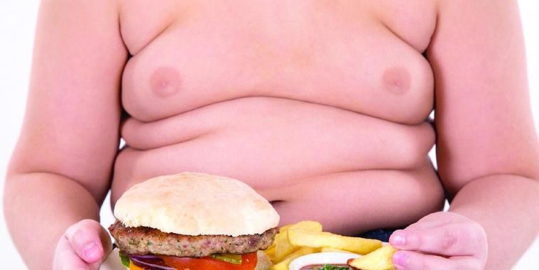 Cura da obesidade pode estar em comer argila, afirmam cientistas
