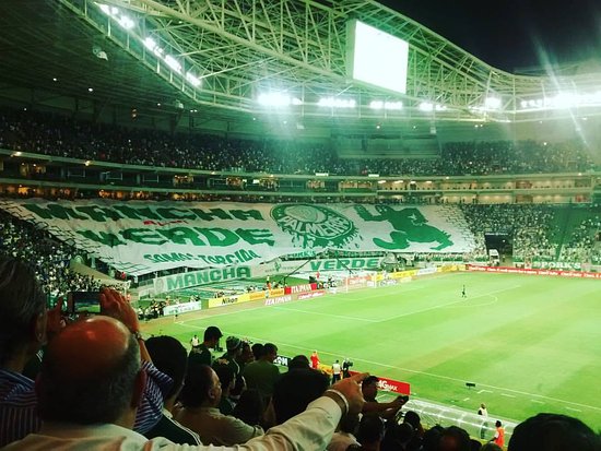 Luto! Morre em São Paulo ex-meia do Palmeiras