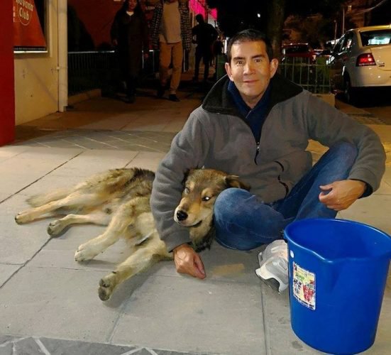 Empresário boliviano encontrou um jeito de salvar cães de rua