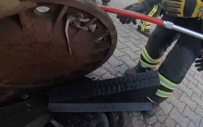 Rato fica preso em tampa de bueiro na Alemanha