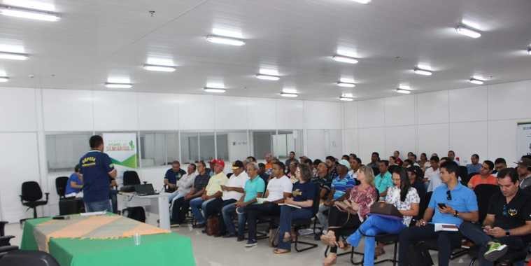 Ação apreende agrotóxicos danosos à criação de abelhas no sul do Piauí