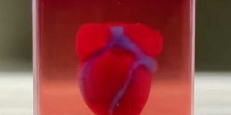 Cientistas usam impressora 3D para criar coração