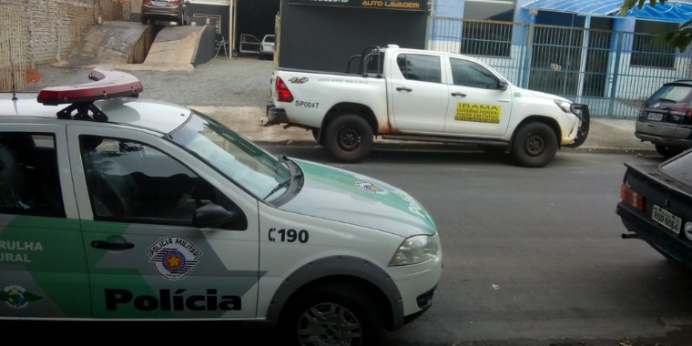 Pintor é multado por vender e enviar animais via Correios