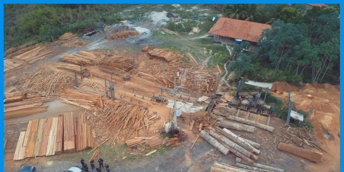 Os grandes desafios para se estudar e preservar a Amazônia maranhense