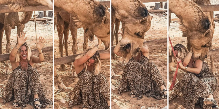 Giovanna Ewbank é "atacada" por camelos