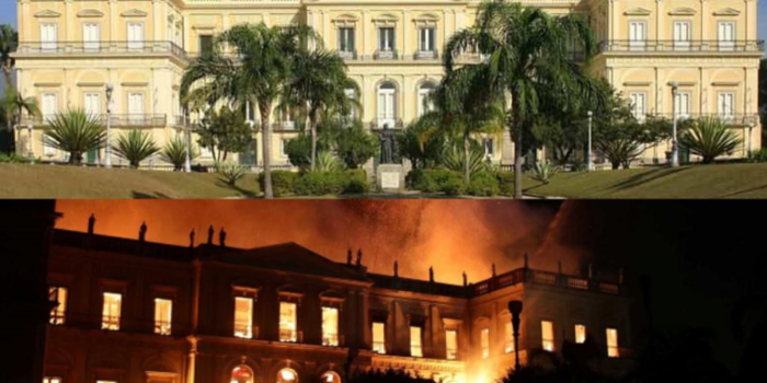 Os acervos científicos brasileiros: vamos refletir e agir?