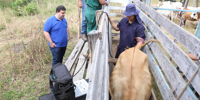Programa “ Fazenda Produtiva” vai gerar lucro na zona Rural de Palmeirais