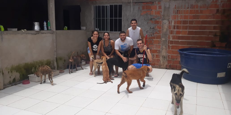 Projeto resgata cães e gatos da rua em Teresina