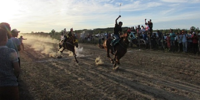 Campo de Aviação lota com animada corrida de cavalos