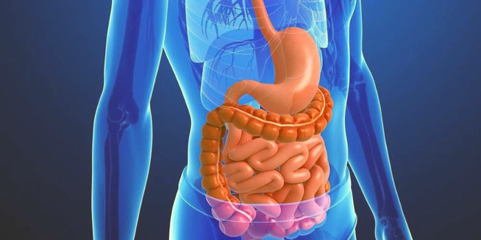 Especialista fala sobre câncer gastrointestinal