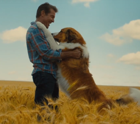 Para arrancar suspiros: Confira o trailer de "Juntos para sempre" no Coisa de Bicho