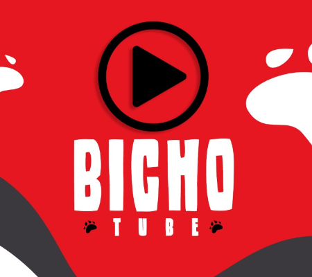 Se divirta com os melhores vídeos do YouTube no Coisa de Bicho