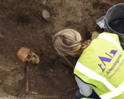 Arqueólogos encontram ossadas de homem, cavalo e cão em navio viking