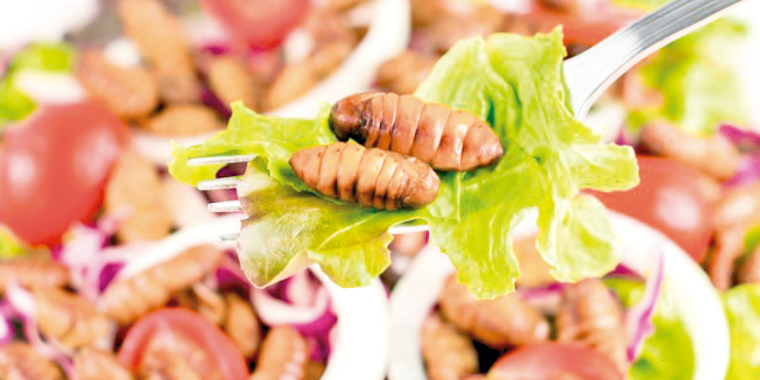 Comer insetos pode te ajudar a evitar o cÃ¢ncer, diz estudo