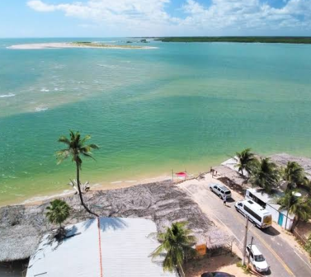 Cajueiro da Praia é a cidade com o maior cajueiro do mundo