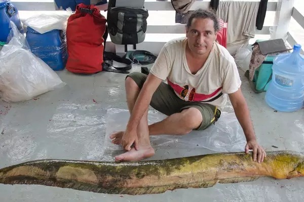 Douglas Bastos / BBC News Brasil Carlos David de Santana chegou a tomar choque capturando poraquês, que podem ter mais de 2 m de comprimento; esse espécime de poraquê será levado ao Museu Natural de História Natural em Washington