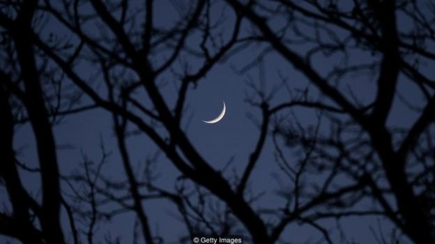 Lua nova no céu escuro entre sombra de galhos de árvores
