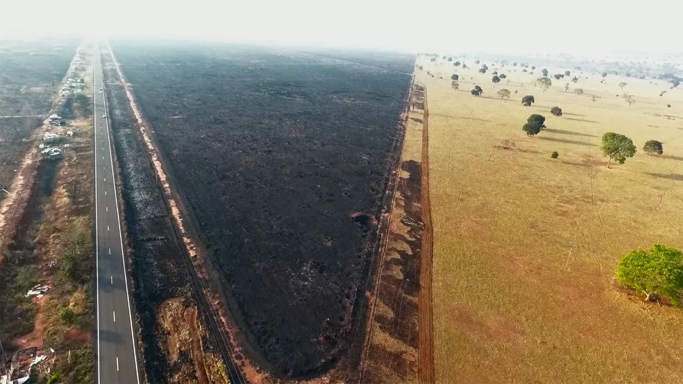 Drone captou 'mar cinza' de vegetação queimada próxima a rodovia em MS — Foto: Luiz Felipe Mendes/Arquivo Pessoal Drone captou 'mar cinza' de vegetação queimada próxima a rodovia em MS — Foto: Luiz Felipe Mendes/Arquivo Pessoal