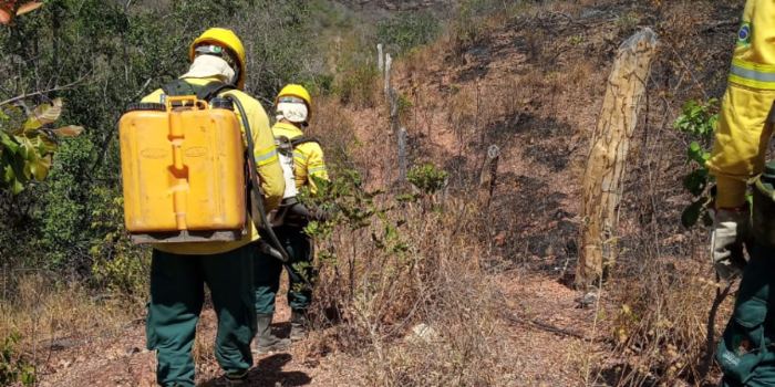 Brigada municipal combate incêndios em toda região de Uruçuí