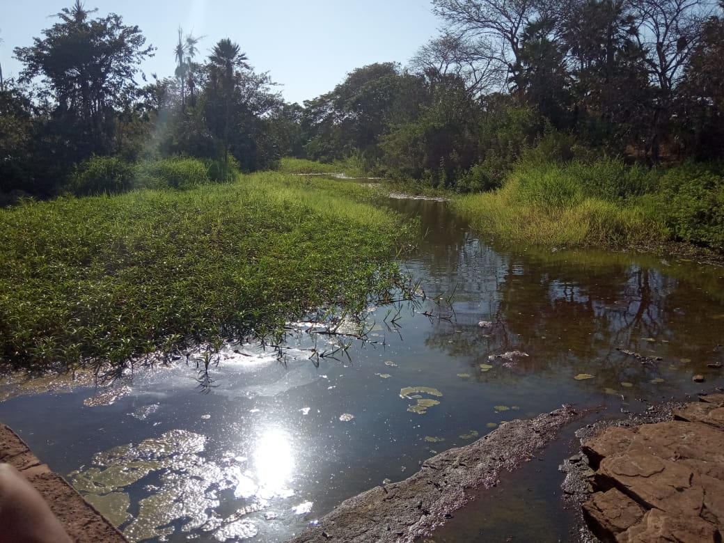 Espaço para banho no rio Canindé é limpo pela prefeitura  - Imagem 13
