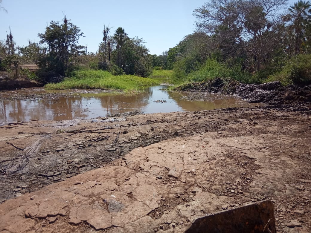 Espaço para banho no rio Canindé é limpo pela prefeitura  - Imagem 10