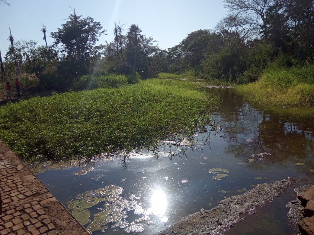 Espaço para banho no rio Canindé é limpo pela prefeitura  - Imagem 14