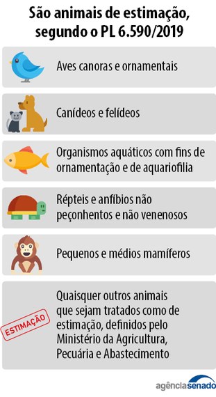 Brasil poderá ter marco regulatório dos animais de estimação - Imagem 1