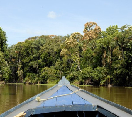 Amazônia Legal, destaque do norte do Brasil