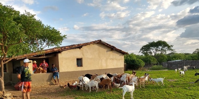 Amigos do Rio Poty
