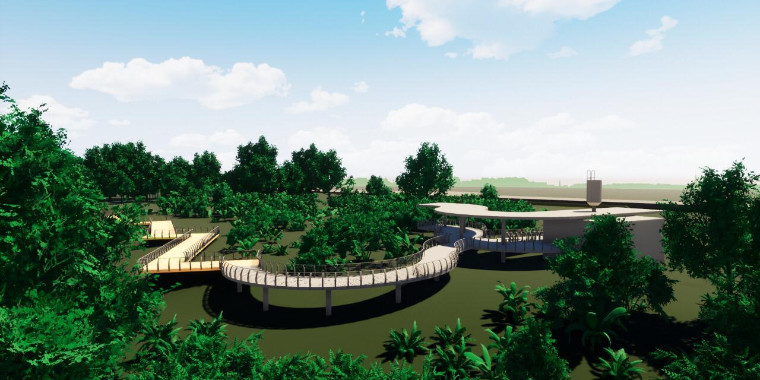 Teresina vai ganhar Museu da Floresta Fóssil