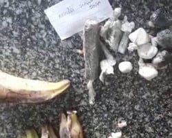 Polícia acha drogas em frutas que seriam entregues a presos no Piauí