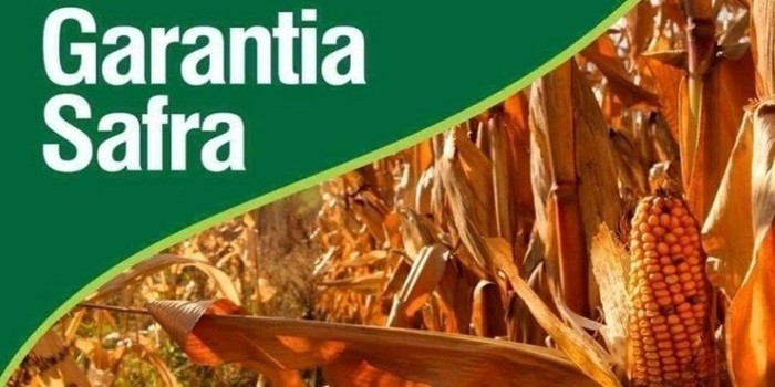 Site trava e dificulta o STTR - Pedro II realizar cadastro para o Garantia Safra
